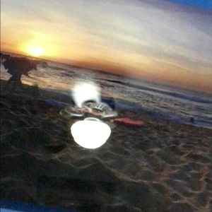 Meet your Posher, Riley